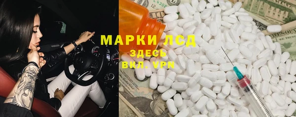 прущие грибы Елабуга