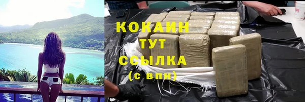 прущие грибы Ельня