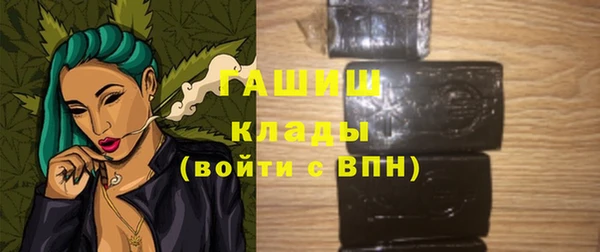 прущие грибы Елабуга