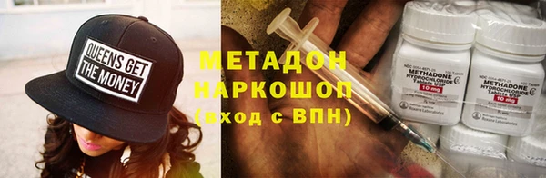прущие грибы Елабуга