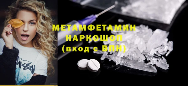прущие грибы Ельня