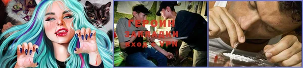прущие грибы Ельня
