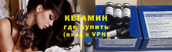 прущие грибы Ельня