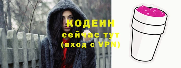 прущие грибы Елабуга