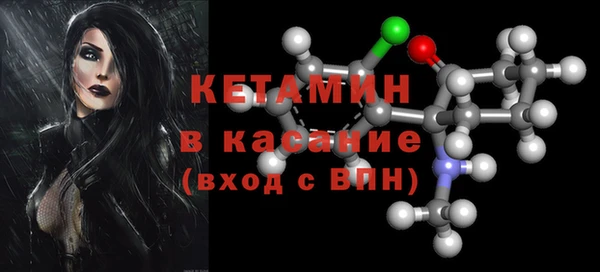 прущие грибы Ельня