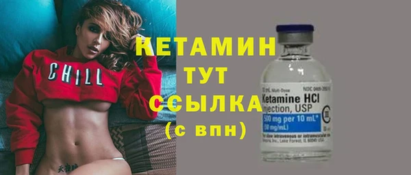 прущие грибы Ельня