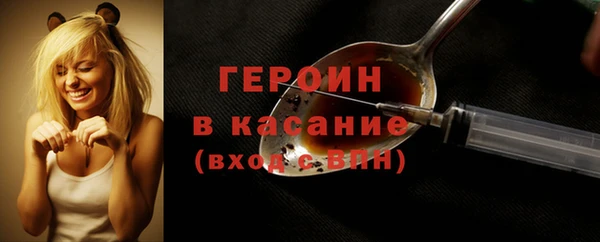 прущие грибы Елабуга