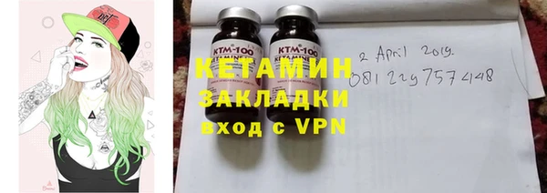 прущие грибы Елабуга