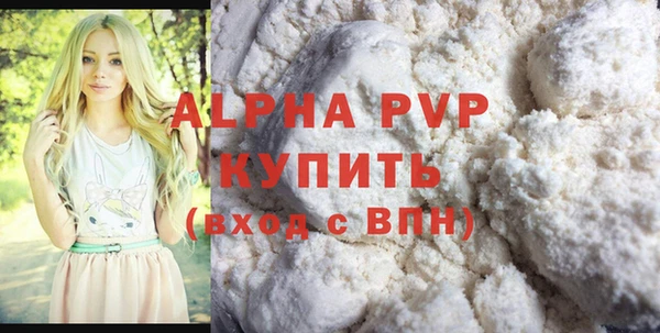 прущие грибы Ельня