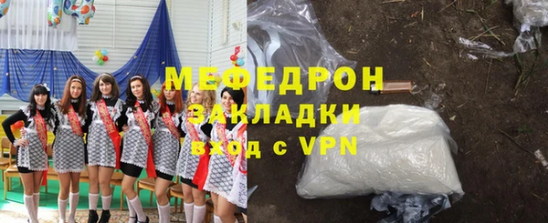 прущие грибы Ельня