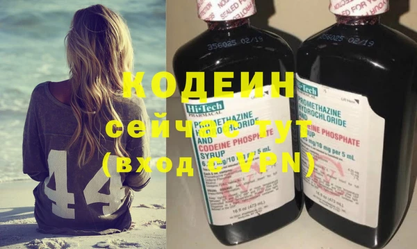 прущие грибы Ельня