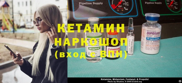 прущие грибы Елабуга