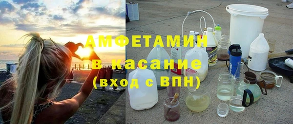прущие грибы Ельня