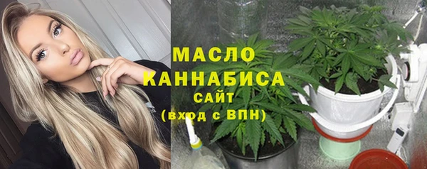 прущие грибы Ельня