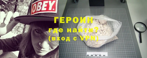 прущие грибы Ельня
