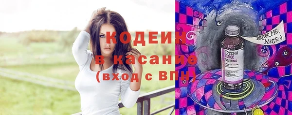 прущие грибы Елабуга