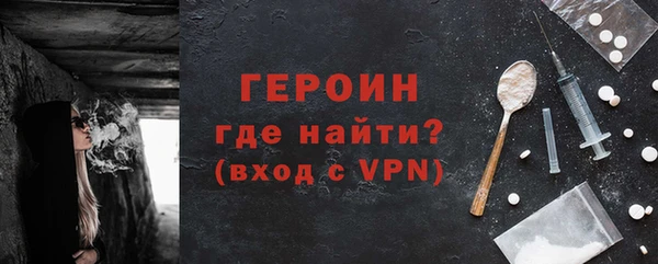прущие грибы Ельня