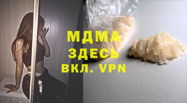 прущие грибы Ельня