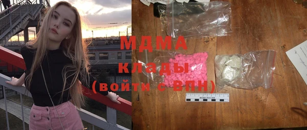 прущие грибы Елабуга