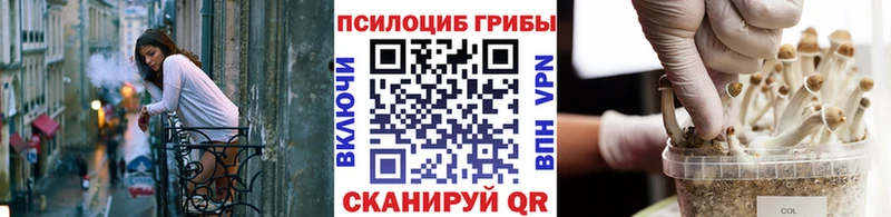 Псилоцибиновые грибы Cubensis  Малая Вишера 